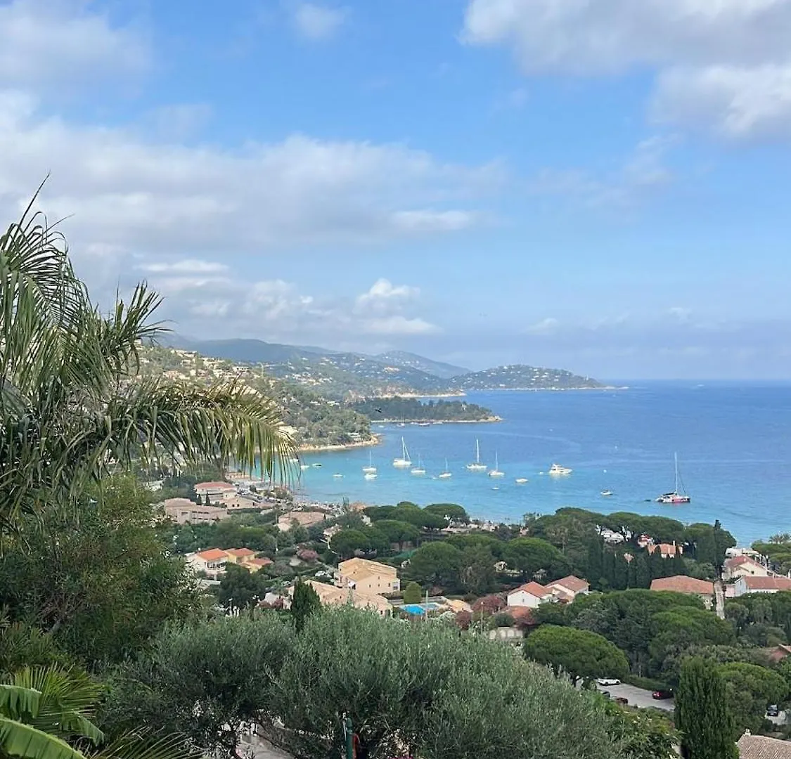 Guest house La Plage De Saint Clair A Pied Le Lavandou